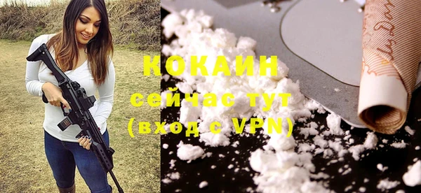 COCAINE Богородицк